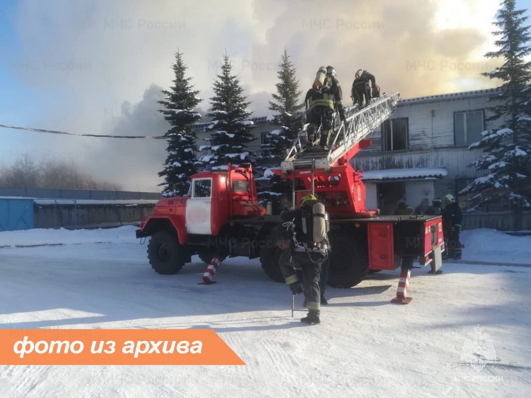 Пожарно-спасательное подразделение Ленинградской области ликвидировало пожар в Лужском районе
