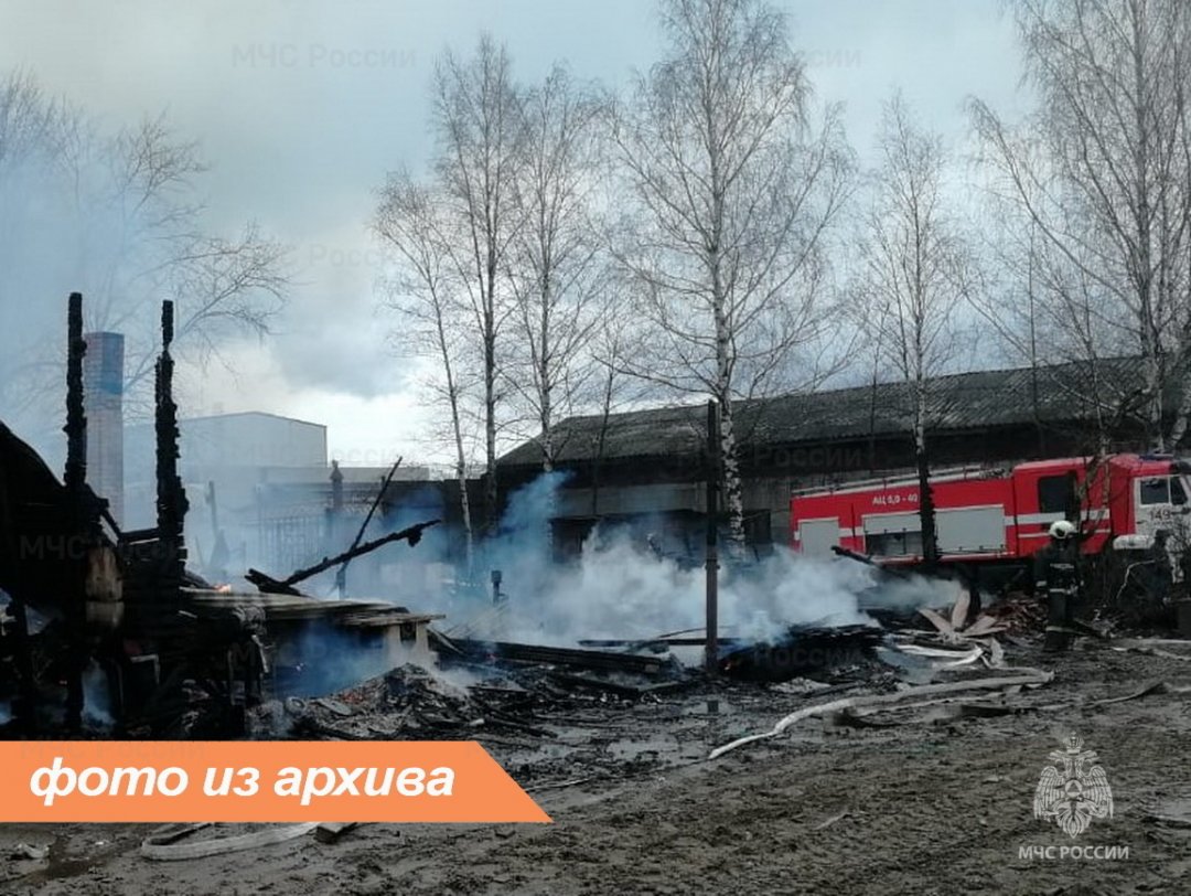 Пожарно-спасательные подразделения Ленинградской области ликвидировали пожар в Лужском районе