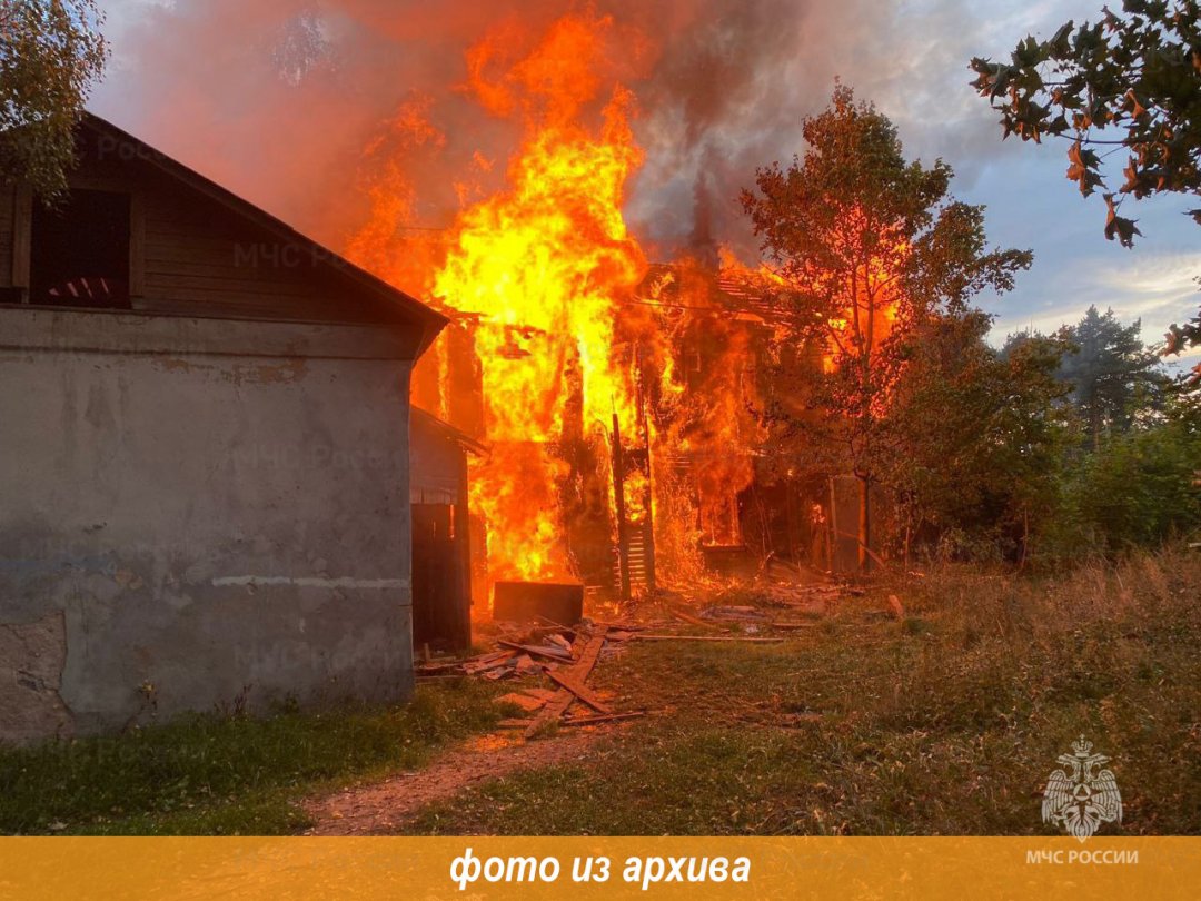 Пожарно-спасательное подразделение Ленинградской области ликвидировало пожар в Лужском районе