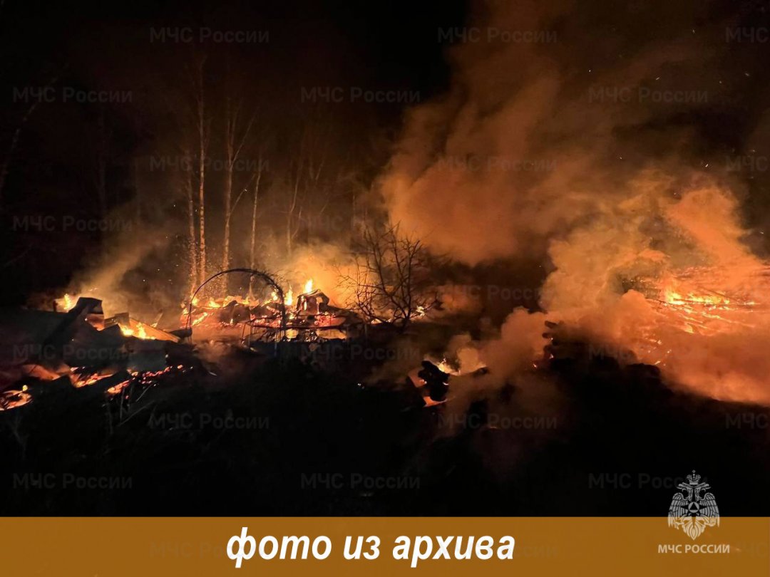 Пожарно-спасательные подразделения Ленинградской области ликвидировали пожар в Лужском районе